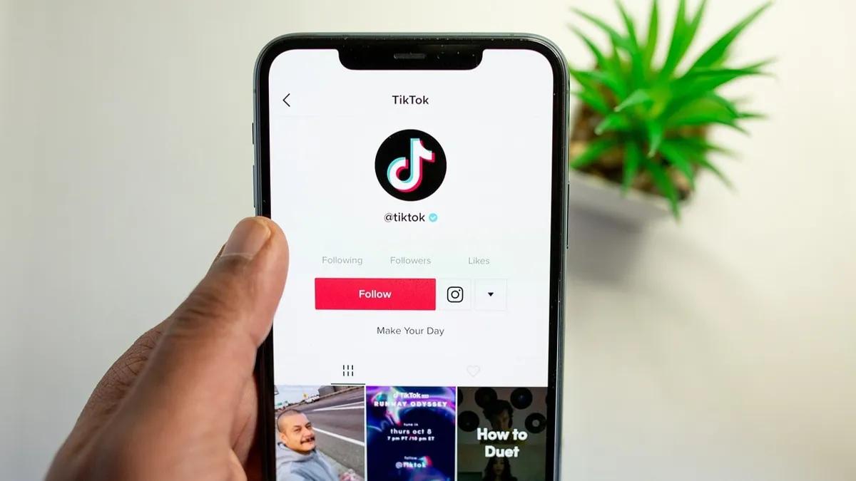 TikTok Қазақстанда бір тоқсанда 1,5 миллион видеоны жойды.